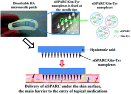 Graphical abstract: Scar prevention through topical delivery of gelatin-tyramine-siSPARC nanoplex loaded in dissolvable hyaluronic acid microneedle patch across skin barrier