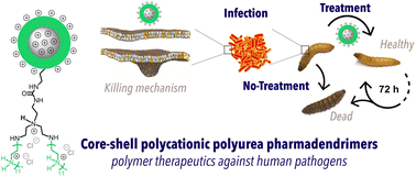 Graphical abstract: Core–shell polycationic polyurea pharmadendrimers: new-generation of sustainable broad-spectrum antibiotics and antifungals