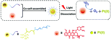 Graphical abstract: Light-responsive nanodrugs co-self-assembled from a PEG-Pt(iv) prodrug and doxorubicin for reversing multidrug resistance in the chemotherapy process of hypoxic solid tumors