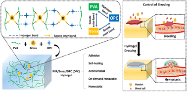 Graphical abstract: Facile preparation of PVA hydrogels with adhesive, self-healing, antimicrobial, and on-demand removable capabilities for rapid hemostasis