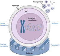 Graphical abstract: Current progress in bionanomaterials to modulate the epigenome