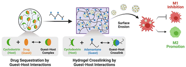 Graphical abstract: Sustained release of drug-loaded nanoparticles from injectable hydrogels enables long-term control of macrophage phenotype