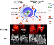 Graphical abstract: The effect of Gd-DOTA locations within PLGA-b-PEG micelle encapsulated IR-1061 on bimodal over-1000 nm near-infrared fluorescence and magnetic resonance imaging
