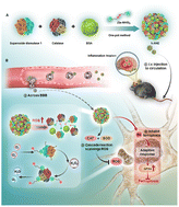 Graphical abstract: Nano-integrated cascade antioxidases opsonized by albumin bypass the blood–brain barrier for treatment of ischemia-reperfusion injury