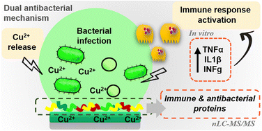Graphical abstract: Insight into the antibacterial mechanism of Cu-enriched sol–gel coatings employing proteomics