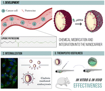 Graphical abstract: Effectiveness of a novel gene nanotherapy based on putrescine for cancer treatment