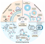 Graphical abstract: Engineered bacteria for augmented in situ tumor vaccination