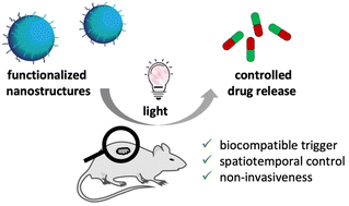 Graphical abstract: Reaching new lights: a review on photo-controlled nanomedicines and their in vivo evaluation