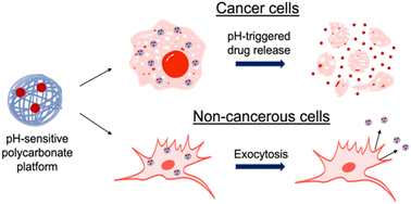 Graphical abstract: Enhanced drug delivery to cancer cells through a pH-sensitive polycarbonate platform
