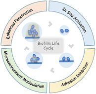 Graphical abstract: Recent nanotechnology-based strategies for interfering with the life cycle of bacterial biofilms