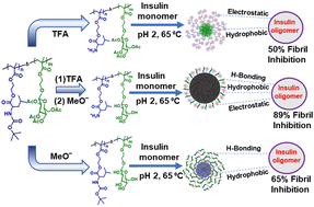 Graphical abstract: Insulin fibril inhibition using glycopolymeric nanoassemblies