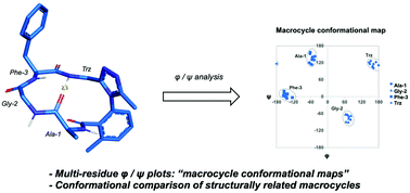 Graphical abstract: Navigating complex peptide structures using macrocycle conformational maps