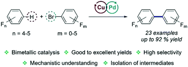 Graphical abstract: Pd/Cu bimetallic catalysis to access highly fluorinated biaryls from aryl halides and fluorinated arenes