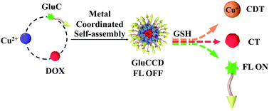 Graphical abstract: A glycol nanomedicine via a metal-coordination supramolecular self-assembly strategy for drug release monitoring and chemo-chemodynamic therapy