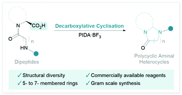 Graphical abstract: Synthesis of polycyclic aminal heterocycles via decarboxylative cyclisation of dipeptide derivatives
