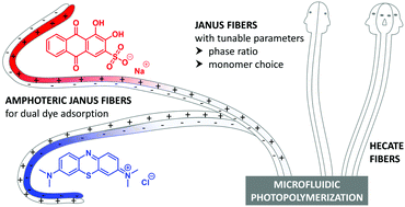 Graphical abstract: Production of Janus/Hecate microfibers by microfluidic photopolymerization and evaluation of their potential in dye removal
