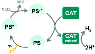 Graphical abstract: Not that innocent – ammonium ions boost homogeneous light-driven hydrogen evolution