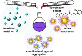 Graphical abstract: Schiff base capped gold nanoparticles for transition metal cation sensing in organic media