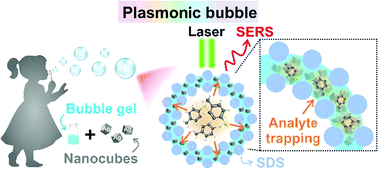 Graphical abstract: Air-stable plasmonic bubbles as a versatile three-dimensional surface-enhanced Raman scattering platform for bi-directional gas sensing