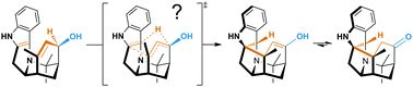 Graphical abstract: Transition structures for the oxy–ene reaction