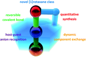 Graphical abstract: Dynamic [1]rotaxanes via a reversible covalent bond and host–guest anion recognition