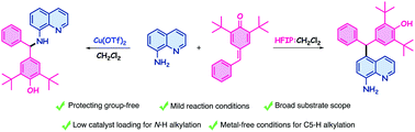 Graphical abstract: Site-selective C5–H and N–H alkylation of unprotected 8-aminoquinolines