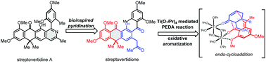 Graphical abstract: Total synthesis of streptovertidione and bioinspired transformation to streptovertidine A and formicapyridine A