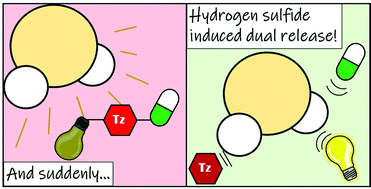 Graphical abstract: Hydrogen sulphide-triggered theranostic prodrugs based on the dynamic chemistry of tetrazines
