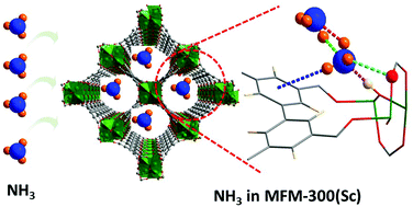 Graphical abstract: High capacity ammonia adsorption in a robust metal–organic framework mediated by reversible host–guest interactions