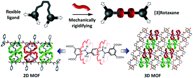 Graphical abstract: 2D and 3D metal–organic frameworks constructed with a mechanically rigidified [3]rotaxane ligand