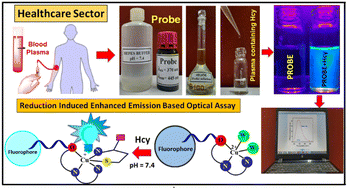 Graphical abstract: A unique water soluble probe for measuring the cardiac marker homocysteine and its clinical validation