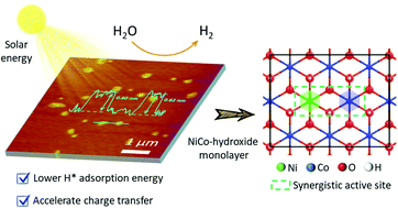 Graphical abstract: A 2D bimetallic Ni–Co hydroxide monolayer cocatalyst for boosting photocatalytic H2 evolution