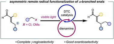 Graphical abstract: Photochemical organocatalytic enantioselective radical γ-functionalization of α-branched enals