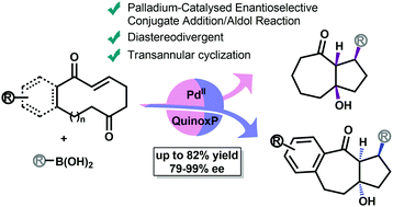 Graphical abstract: Enantioselective transannular reactions by palladium-catalysed conjugate addition of aryl boronic acids