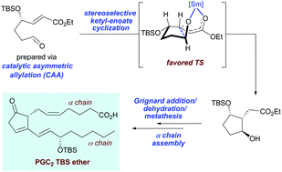Graphical abstract: Asymmetric total synthesis of prostaglandin C2 TBS ether