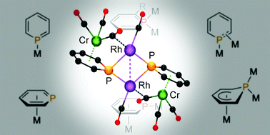 Graphical abstract: Highly flexible phosphabenzenes: a missing coordination mode of 2,4,6-triaryl-λ3-phosphinines