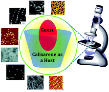 Graphical abstract: Calixarene-mediated host–guest interactions leading to supramolecular assemblies: visualization by microscopy