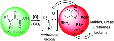 Graphical abstract: Oxamic acids: useful precursors of carbamoyl radicals