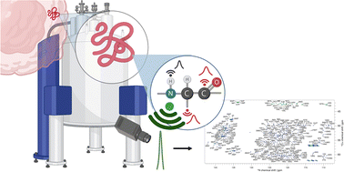 Graphical abstract: 15N-Detected TROSY NMR experiments to study large disordered proteins in high-field magnets