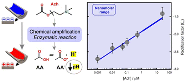 Graphical abstract: Highly sensitive acetylcholine biosensing via chemical amplification of enzymatic processes in nanochannels