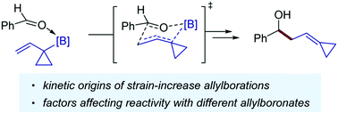 Graphical abstract: Computational insights into strain-increase allylborations for alkylidenecyclopropanes
