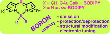 Graphical abstract: Substitution at boron in BODIPYs