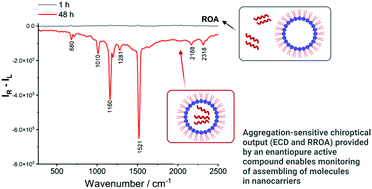 Graphical abstract: Formation of carotenoid supramolecular aggregates in nanocarriers monitored via aggregation-sensitive chiroptical output of enantiopure (3S,3′S)-astaxanthin