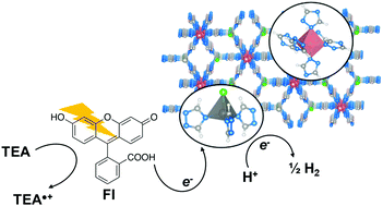 Graphical abstract: Co-based metal–organic framework for photocatalytic hydrogen generation