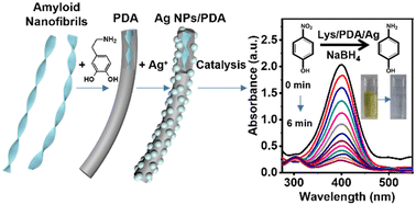 Graphical abstract: Amyloid-templated polydopamine nanofibers for catecholic immobilization of catalytic noble metal nanoparticles