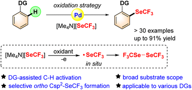 Graphical abstract: Palladium-catalyzed C–H trifluoromethylselenolation of arenes with [Me4N][SeCF3] and an oxidant