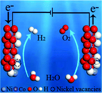 Graphical abstract: Engineering nickel vacancies in NiCo LDH nanoarrays accelerates hydrogen evolution and oxygen evolution reactions