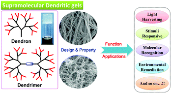 Graphical abstract: Functional supramolecular gels based on poly(benzyl ether) dendrons and dendrimers