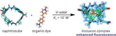 Graphical abstract: Molecular recognition and spectral tuning of organic dyes in water by amide naphthotubes