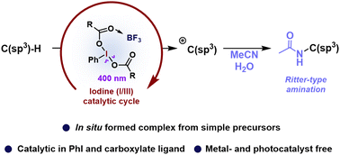Graphical abstract: C(sp3)–H Ritter amination by excitation of in situ generated iodine(iii)–BF3 complexes
